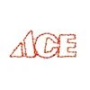 Holiday Bright Lights LED Red ACE Sign 19 In. Yard Decor -Roman Shop 07b6f3f1 6fb6 459d 9733 834f3890ebf8