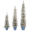 Celebrations 5 Ft. Slim Flocked Pencil Christmas Tree -Roman Shop 1225ec67 d643 4c2b 9cea 21a125587f68