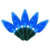 Holiday Bright Lights LED C6 Blue 100 Ct String Christmas Lights 50 Ft. 2 Holiday Bright Lights LED C6 Blue 100 Ct String Christmas Lights 50 Ft. -Roman Shop 15f238b8 41f3 418b a802 fb7d5204ace8