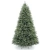 National Tree Company 6 Ft. Full Incandescent 600 Ct Downswept Douglas Christmas Tree -Roman Shop 1a340cc0 fa58 4f79 ae81 a527a262b558