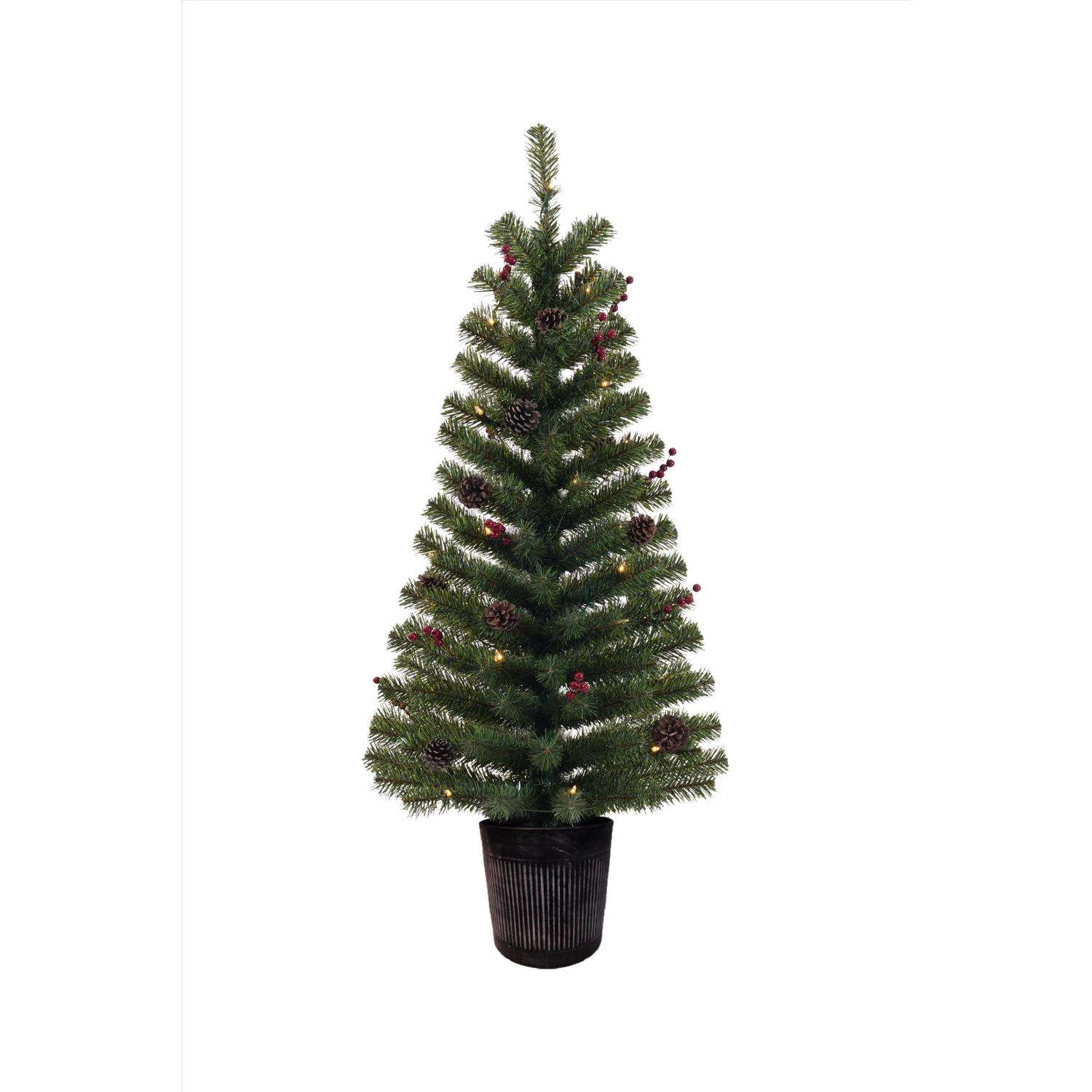 Celebrations 4 Ft. Full LED 35 Ct Northern Pine Tree Prelit Incan Color Changing Christmas Tree 3 Celebrations 4 Ft. Full LED 35 Ct Northern Pine Tree Prelit Incan Color Changing Christmas Tree