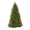 National Tree 12 Ft. Full Incandescent 1200 Ct Dunhill Fir Christmas Tree -Roman Shop 22d80626 54e6 4dfb b0e5 15dd9a979b44