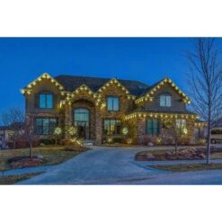 Celebrations Platinum LED Warm White Light Burst 32 In. Yard Decor -Roman Shop 31b0c003 22eb 4c94 87a6 023aad460a39
