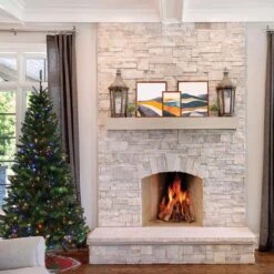 Celebrations 7-1/2 Ft. Slim LED 450 Lights Spruce Color Changing Christmas Tree -Roman Shop 32525359 be82 42c2 84ea 285978c5af14