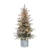 Puleo International 4-1/2 Ft. Slim Incandescent 70 Ct Potted Flocked Arctic Fir Christmas Tree -Roman Shop 381f97cf bde7 4c04 8c2e 2e6496663043