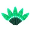Holiday Bright Lights LED C6 Green 100 Ct String Christmas Lights 50 Ft. -Roman Shop 41cf4e5a e21a 46e6 aa1d 30e053906077