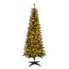 Celebrations 7 Ft. Pencil LED 250 Ct Highland Green Spruce Christmas Tree -Roman Shop 43b17ba5 1808 4b79 8649 2a5390db46ec