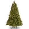 National Tree Company 7 Ft. Full Incandescent 700 Ct Downswept Douglas Fir Christmas Tree 2 National Tree Company 7 Ft. Full Incandescent 700 Ct Downswept Douglas Fir Christmas Tree -Roman Shop 51ef2419 6fe8 4c78 a6e9 fd65af9eec4b