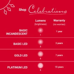 Celebrations Gold LED Mini Warm White 100 Ct String Christmas Lights 33 Ft. -Roman Shop 58eafbc6 5b8f 4230 b5c4 9a195fa51124