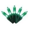 Celebrations Platinum LED T5 Green 50 Ct String Christmas Lights 25 Ft. -Roman Shop 5ce2e847 1715 4941 aaee 90a1b4d96170