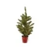 Everlands 2 Ft. Slim LED 30 Lights Fresh Cut Christmas Tree -Roman Shop 5d5065ee d4c8 4398 b2f1 c3ca7e53e318