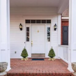 Celebrations 2 Ft. Full Incandescent 35 Ct Table Top Christmas Tree -Roman Shop 6dc34c78 57c5 4181 9cc2 7b4340601262