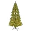 Celebrations 7 Ft. Slim LED 3080 Ct Deluxe Dalton Christmas Tree -Roman Shop 6dd56703 a792 4a01 bee7 0310c20b5e44