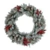 Celebrations Home 30 In. D LED Prelit Warm White Mixed Pine And Berry Wreath -Roman Shop 77bb4de5 cc21 4a23 8080 d999003e99bb