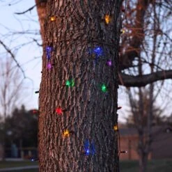 Celebrations Platinum LED Mini Multicolored 100 Ct Net Christmas Lights 6 Ft. -Roman Shop 81bf2d78 4a79 4f38 9d10 eaf63e9c58d4