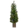 Celebrations 4 Ft. Slim LED 50 Ct Mixed Pine Color Changing Entrance Tree 2 Celebrations 4 Ft. Slim LED 50 Ct Mixed Pine Color Changing Entrance Tree -Roman Shop 9b9e30e6 bb93 4333 9a05 7b4071a040db