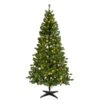 Celebrations 7 Ft. Slim LED 400 Lights Pine Christmas Tree -Roman Shop a4fe9855 8b9a 431a b66f 96769230223a