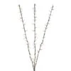 Celebrations LED Warm White Lighted Branches 38 In. Yard Decor -Roman Shop ab63e8de 8716 4ab9 9858 6d805883ff54