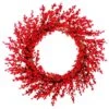 Celebrations 22 In. D Red Cranberry Wreath -Roman Shop b094b890 567e 4448 b0a3 7f5f094a7595