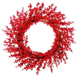 Celebrations 22 In. D Red Cranberry Wreath