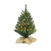 Celebrations 2 Ft. Full Incandescent 35 Ct Table Top Christmas Tree -Roman Shop b4a0a3ac 6eb6 4bd0 aad9 7a8806165c79