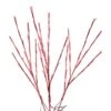 Celebrations LED Red Lighted Red Twigs 32 In. Yard Decor -Roman Shop c4647267 2efa 4716 80b2 b8a3f2180309