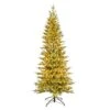 Celebrations 7 Ft. Slim LED 2200 Ct Dalton Christmas Tree -Roman Shop c84b22be 94eb 4f5d 85f3 d97fce82bda0