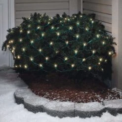 Celebrations LED Warm White 100 Ct Net Christmas Lights 6 Ft. -Roman Shop d3a5b770 011c 492e 8071 7393e47068a9