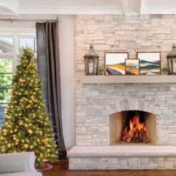 Celebrations 4 Ft. Pencil LED 150 Ct Grand Illume Color Changing Christmas Tree -Roman Shop d9c2d819 3958 485b 8900 4594087b25d4