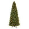 Celebrations 9 Ft. Full Incandescent 1500 Ct Illuminated Grand Fir Christmas Tree -Roman Shop da4d57a4 9cff 4a89 a2da c262530f59d7