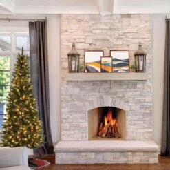 Celebrations 7 Ft. Pencil LED 250 Ct Highland Green Spruce Christmas Tree -Roman Shop e19bbe0a 76c5 49dd ac49 538a2a783e4a