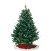 Kirk 7 Ft. Full Balsam Fir Christmas Tree -Roman Shop e70f5f23 2beb 48ab bfbe cb8156a7f223