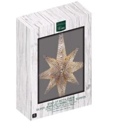 Celebrations Silver Star Of Bethlehem Tree Topper -Roman Shop e77f2aa6 24f4 4c4f 95c9 76d79a1aa333