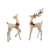 Celebrations LED Warm White Buck/Doe 6 Ft. Yard Decor -Roman Shop eff380a1 c373 461d 826c dad029ec33fd