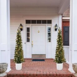 Celebrations 5 Ft. Pencil LED 100 Ct Green Alpine Resin Potted Christmas Tree -Roman Shop fe6d6d39 cef2 4aba ab81 c8decc1e0a29